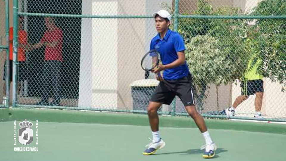 Tenis