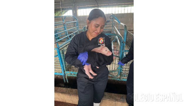 Colegio Español del Sureste - Ingeniero Agrónomo Zootecnista